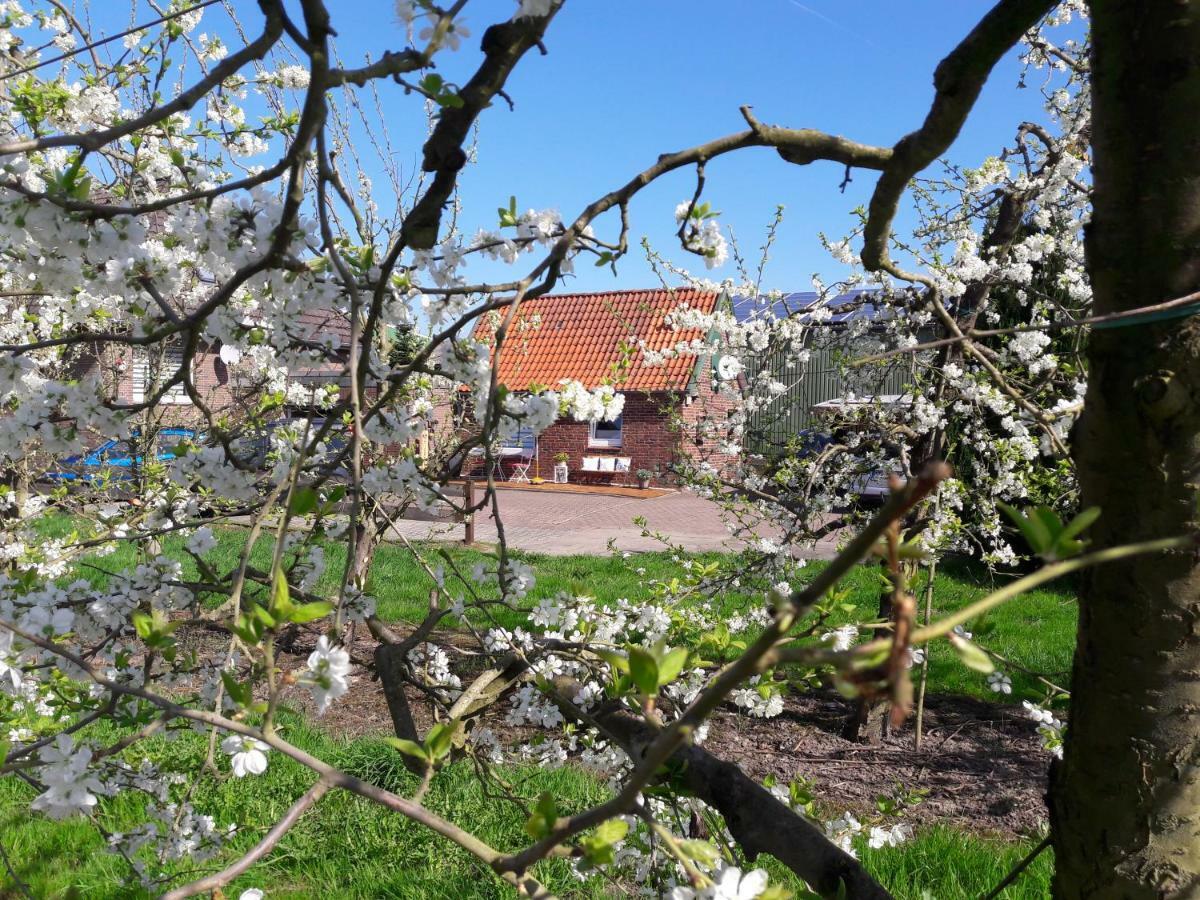 Gemuetliches Haeuschen Im Alten Land Jork Buitenkant foto