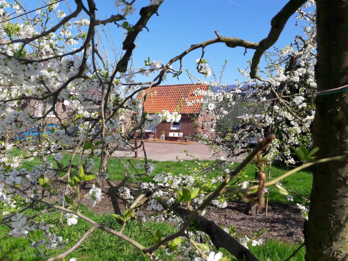 Gemuetliches Haeuschen Im Alten Land Villa Jork Buitenkant foto