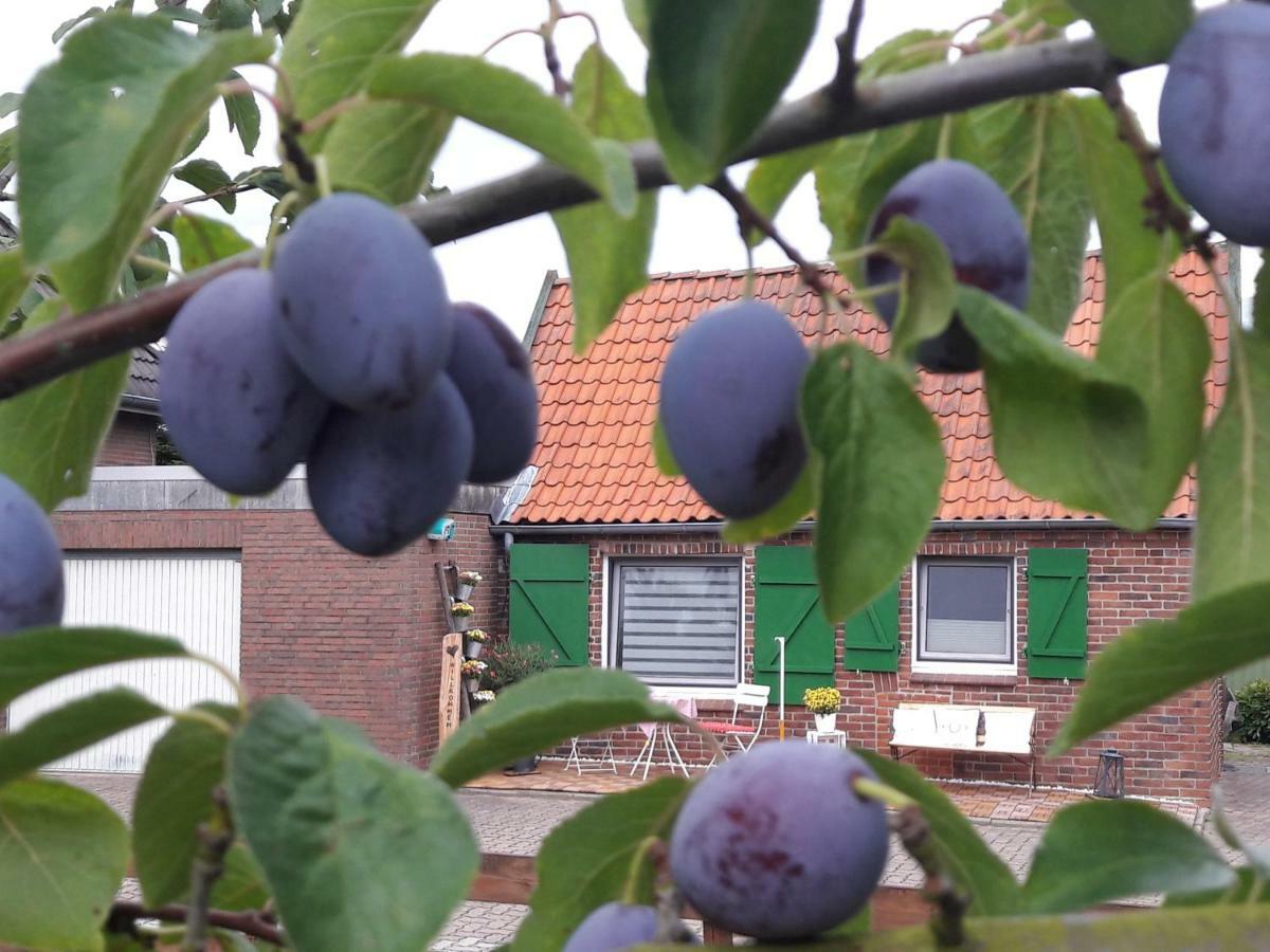 Gemuetliches Haeuschen Im Alten Land Villa Jork Buitenkant foto